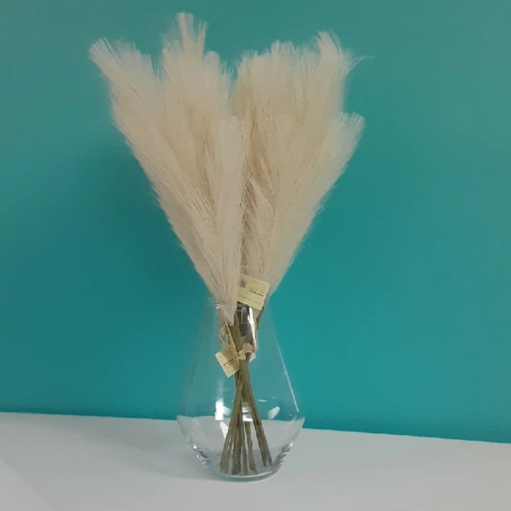 Cost Plus World Market elegant faux